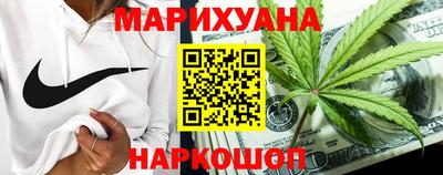бошки Кингисепп