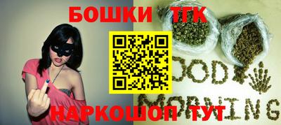 бошки Кингисепп