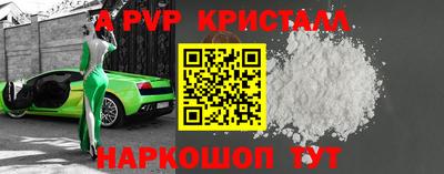 бошки Кингисепп
