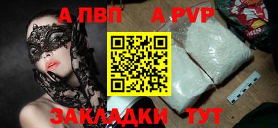 бошки Кингисепп