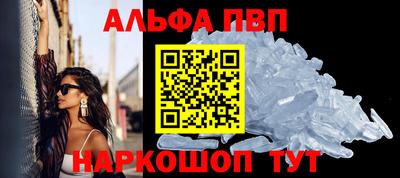 бошки Кингисепп